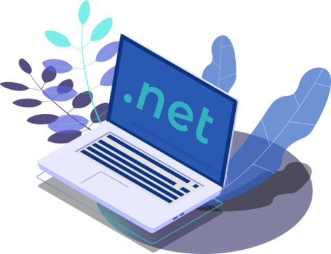 .net Domain